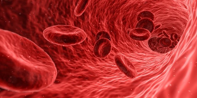 Пароксизмальная ночная гемоглобинурия: опыт применения биоаналога экулизумаба (ТН Элизария Генериум)