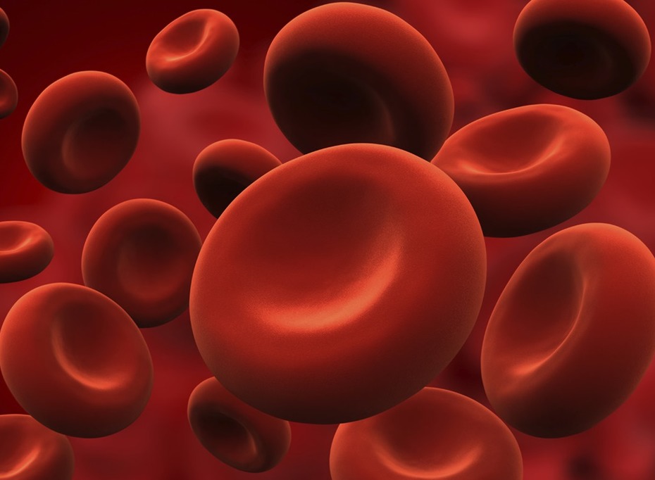 Гемолитические анемии: трудности в трансфузионной поддержке тяжелых пациентов